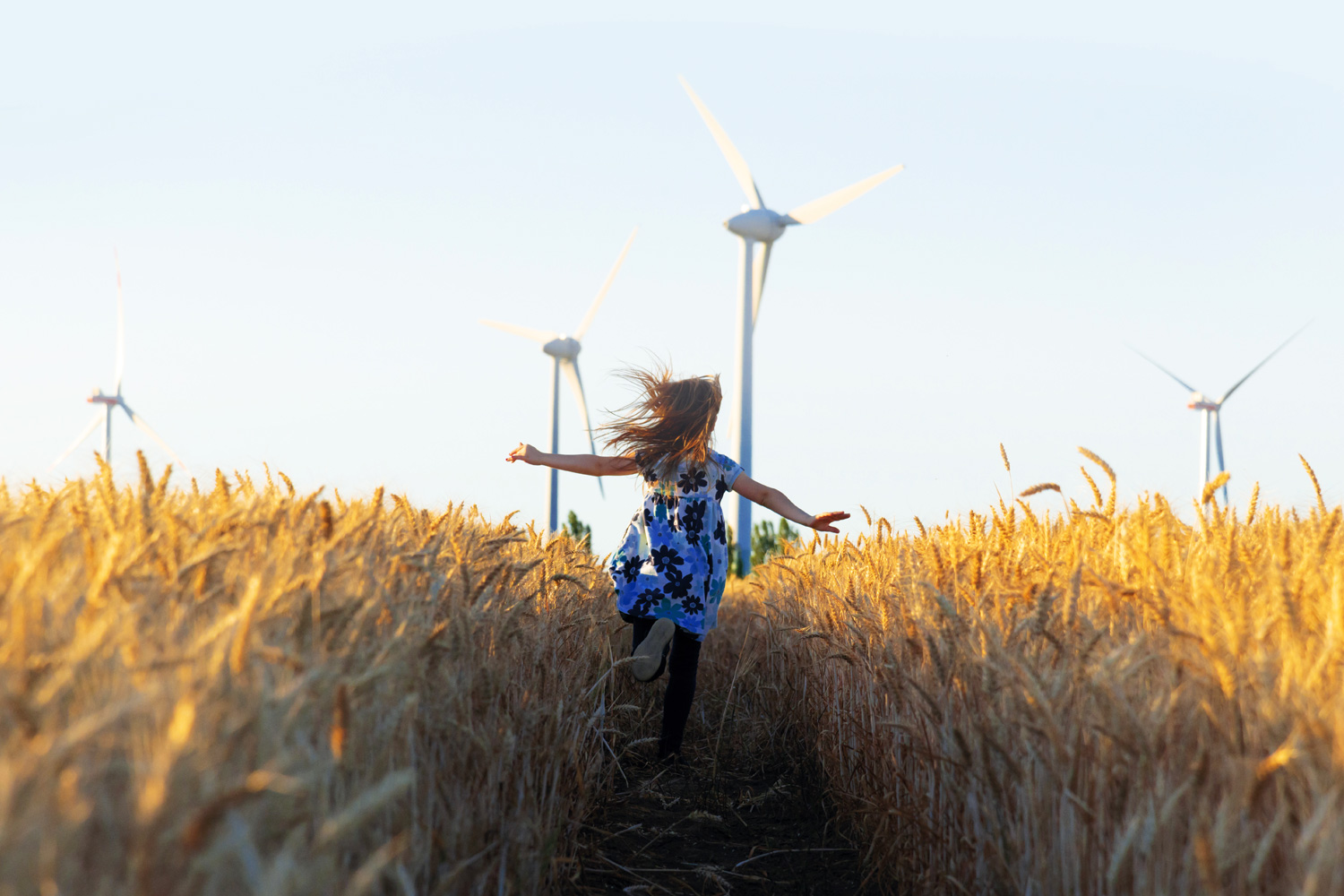 Windparkprojekt Linda: Der geplante Windpark Linda 2 im Überblick - Stromtarif